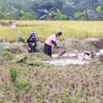 Definisi Sosiologi Pedesaan