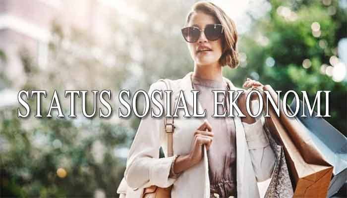 Definisi Sosial Ekonomi