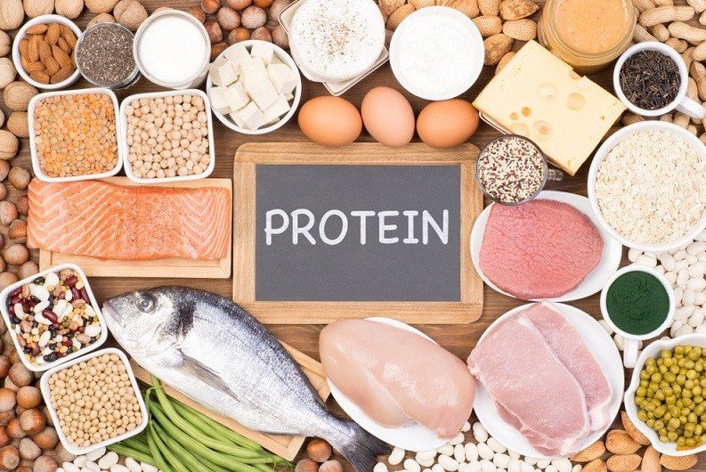 Definisi Protein