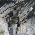 Cerpen Tentang Batu Gantung Di Danau Toba Yang Masih Membuat Hati Bergetar