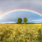 Definisi Pelangi, Keindahan Cahaya yang Muncul Setelah Hujan