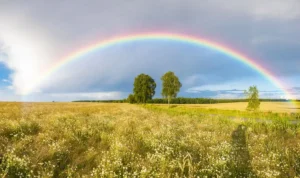 Definisi Pelangi, Keindahan Cahaya yang Muncul Setelah Hujan