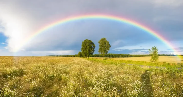 Definisi Pelangi, Keindahan Cahaya yang Muncul Setelah Hujan