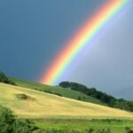 Definisi Pelangi, Keajaiban Warna di Langit yang Lahir dari Cahaya dan Hujan