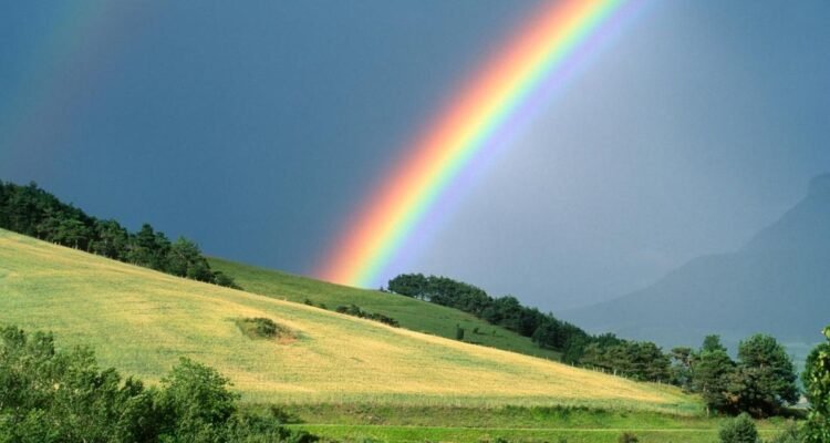 Definisi Pelangi, Keajaiban Warna di Langit yang Lahir dari Cahaya dan Hujan