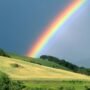 Definisi Pelangi, Keajaiban Warna di Langit yang Lahir dari Cahaya dan Hujan