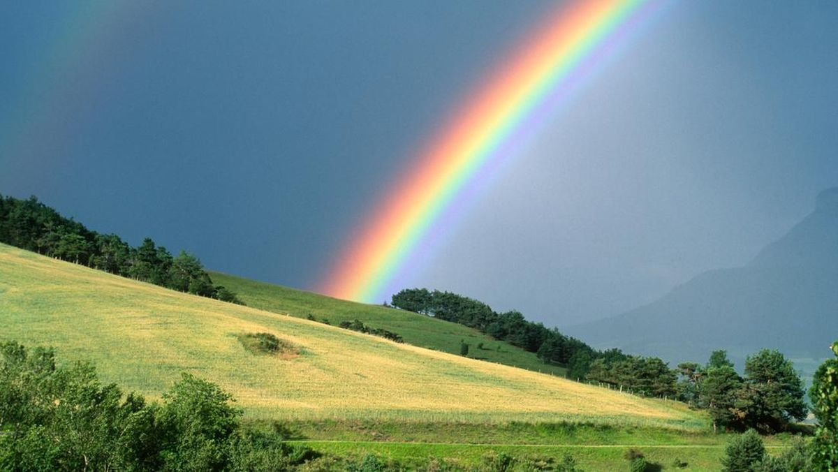 Definisi Pelangi, Keajaiban Warna di Langit yang Lahir dari Cahaya dan Hujan