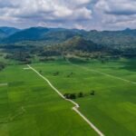 Definisi Udara: Unsur Tak Terlihat yang Menopang Hidup Setiap Detik