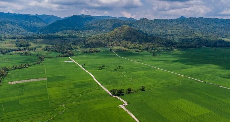 Definisi Udara: Unsur Tak Terlihat yang Menopang Hidup Setiap Detik