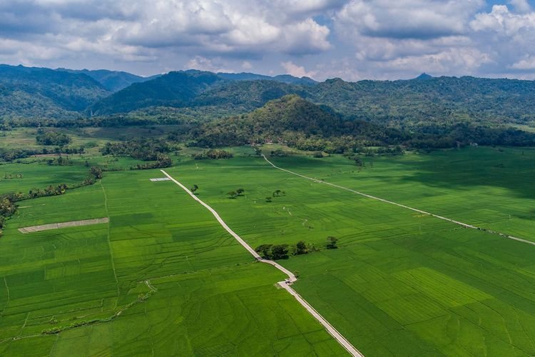 Definisi Udara: Unsur Tak Terlihat yang Menopang Hidup Setiap Detik
