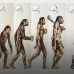 Revolusi Manusia di Bumi, Dari Pemburu hingga Penguasa Peradaban