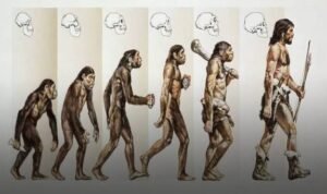 Revolusi Manusia di Bumi, Dari Pemburu hingga Penguasa Peradaban