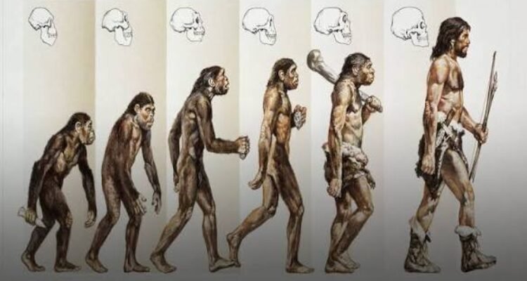 Revolusi Manusia di Bumi, Dari Pemburu hingga Penguasa Peradaban