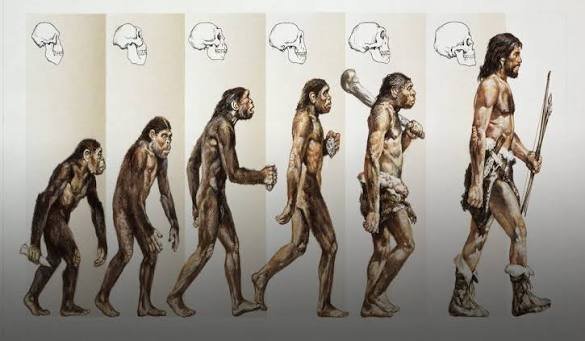 Revolusi Manusia di Bumi, Dari Pemburu hingga Penguasa Peradaban