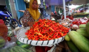 Harga Sembako Hari Ini 6 September 2026, Beras hingga Telur Bergerak