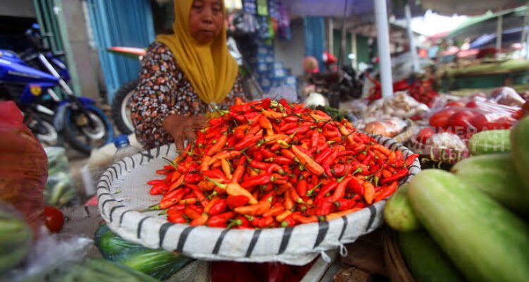 Harga Sembako Hari Ini 6 September 2026, Beras hingga Telur Bergerak